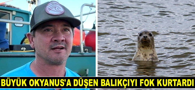 Büyük Okyanus’a düşen balıkçıyı fok kurtardı