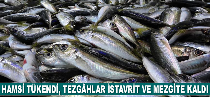 Hamsi tükendi, tezgâhlar istavrit ve mezgite kaldı