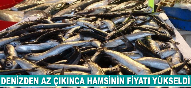 Denizden az çıkınca hamsinin fiyatı yükseldi