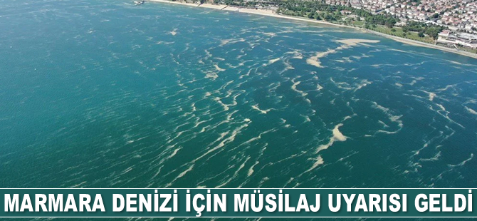 Mustafa Sarı: Müsilaj oluşması için şartlar uygun, dikkat etmeliyiz