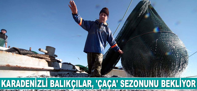 Karadenizli balıkçılar, 'çaça' sezonunu bekliyor