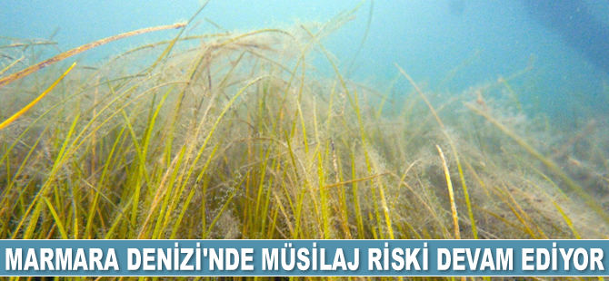 Mustafa Sarı: Marmara Denizi Koruma Eylem Planı hızla uygulanmalı