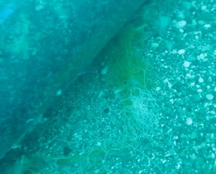 Hayalet ağlar, sualtı hayatını tehdit ediyor