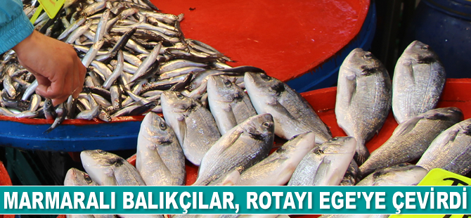 Marmara’da umduğunu bulamayan balıkçılar, rotayı Ege'ye çevirdi