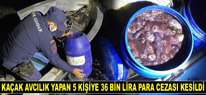 Çeşme'de kaçak avcılık yapan 5 kişiye 36 bin lira para cezası kesildi