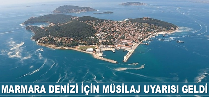 Melek İşinibilir Okyar: Marmara Denizi'nde şu an müsilaj var