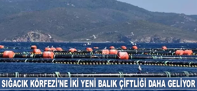 Sığacık Körfezi’ne iki yeni balık çiftliği daha geliyor