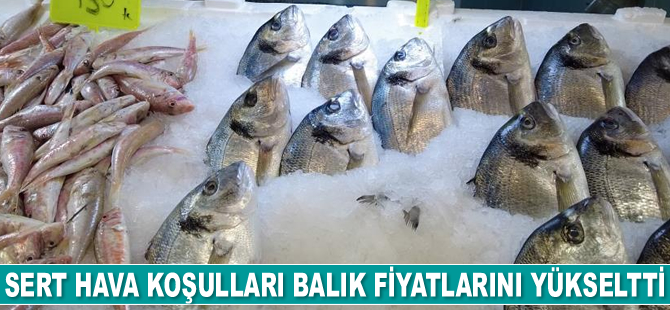 Sert hava koşulları balık fiyatlarını yükseltti