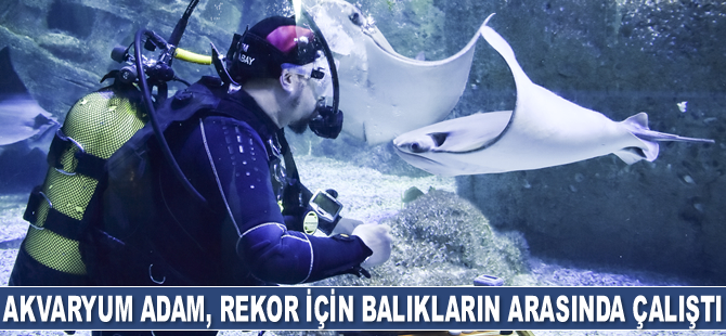 Akvaryum Adam, rekor için köpek balıklarının arasında çalıştı