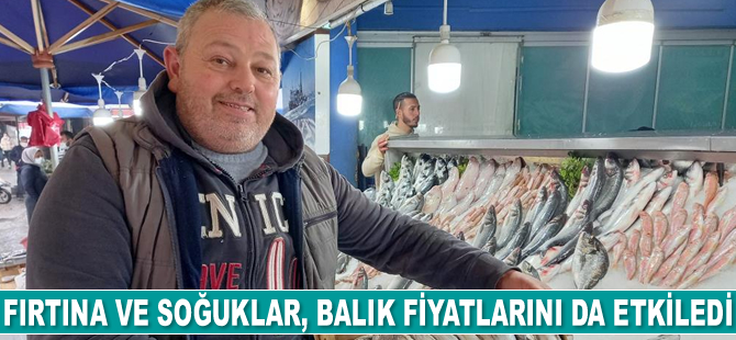 Fırtına ve soğuklar, balık fiyatlarını da etkiledi