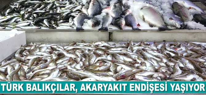 Türk balıkçılar, akaryakıt için endişesi yaşıyor