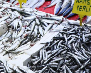 Soğuk hava ve fırtına, balık fiyatları artırdı