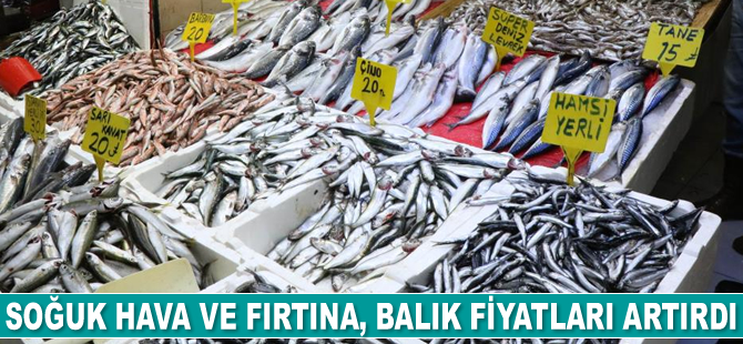 Soğuk hava ve fırtına, balık fiyatları artırdı
