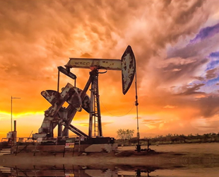 Japonya, Rusya'dan petrol ithalatını yasaklamayı planlıyor