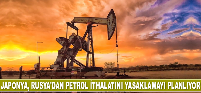Japonya, Rusya'dan petrol ithalatını yasaklamayı planlıyor