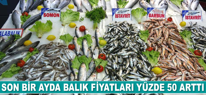 Son bir ayda balık fiyatları yüzde 50 arttı