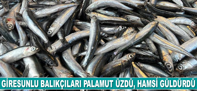 Giresunlu balıkçıları palamut üzdü, hamsi güldürdü