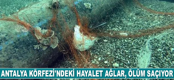 Antalya Körfezi'ndeki hayalet ağlar, deniz altında ölüm saçıyor