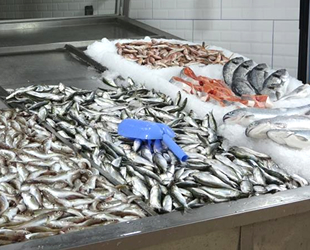 Karadeniz’deki balık azlığı tezgâhlara yansıdı