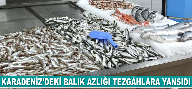 Karadeniz’deki balık azlığı tezgâhlara yansıdı