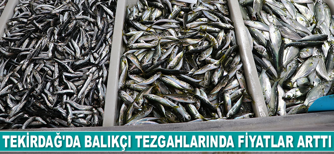 Tekirdağ'da balıkçı tezgahlarında fiyatlar arttı