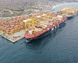 Asyaport’ta ‘Limanda Yaşam’ teması kadrajda hayat buluyor