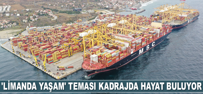 Asyaport’ta ‘Limanda Yaşam’ teması kadrajda hayat buluyor