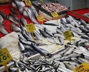 Tezgahlarda balık çeşitliliği devam ediyor