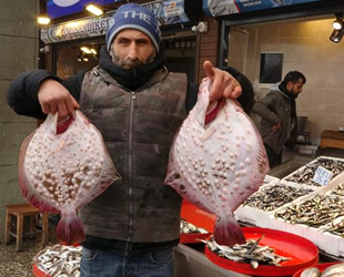 Kalkan balığı, tezgahların en pahalısı oldu