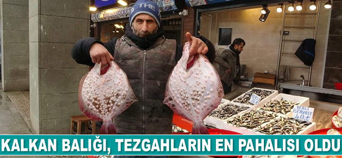 Kalkan balığı, tezgahların en pahalısı oldu
