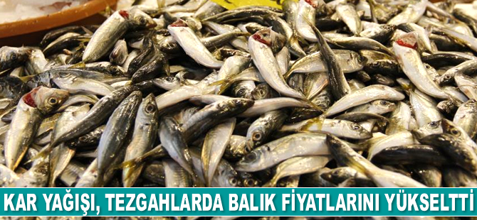 Marmara’da etkili olan kar yağışı balık fiyatlarını yükseltti