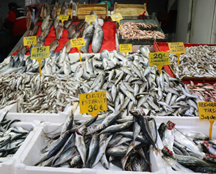 Havaların soğumasıyla balığa ilgi arttı