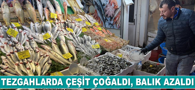 Tezgahlarda çeşit çoğaldı, balık azaldı