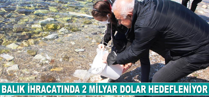 Balık ihracatında 2 milyar dolar hedefleniyor