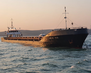 VECTIS ISLE isimli gemi, İstanbul Boğazı girişinde balıkçı teknesi ile çatıştı
