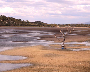 İzmir'de deniz suyu çekilmesi 50 metreyi buldu