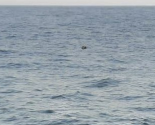 İğneada açıklarında mayın tespit edildi