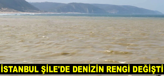 Şile'de denizin rengi değişti