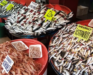Balıkesir’de tezgahlarda balık bolluğu yaşanıyor