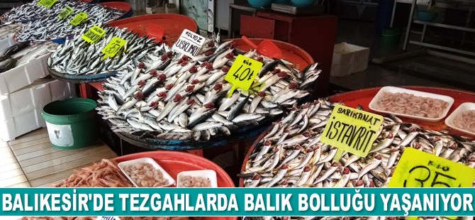 Balıkesir’de tezgahlarda balık bolluğu yaşanıyor