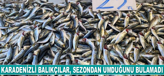 Karadenizli balıkçılar, sezondan umduğunu bulamadı