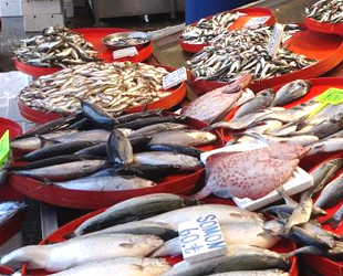 Trabzon'da tezgâhları farklı illerden gelen balıklar süslüyor