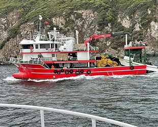 Çanakkaleli balıkçılar, sezonu erken kapattı