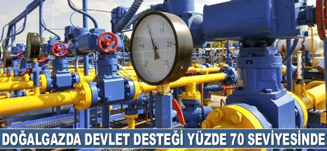Burhan Özcan: Doğalgazda devlet desteği yüzde 70 seviyesinde devam ediyor