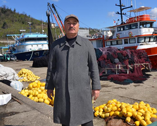 Ordulu balıkçılar, teknelerini limana çekti