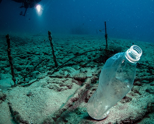 Plastik atıklar, denizlerde biyoçeşitliliği olumsuz etkiliyor