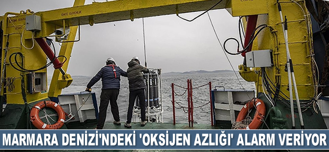 Marmara Denizi'ndeki 'oksijen azlığı' alarm veriyor