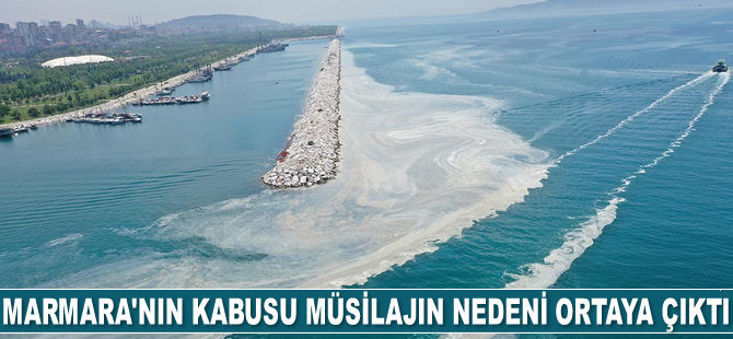 Marmara Denizi’in kabusu müsilajın nedeni ortaya çıktı