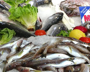 Balıkçı tezgahlarında sezon durgunluğu yaşanıyor