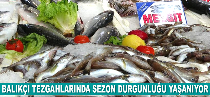 Balıkçı tezgahlarında sezon durgunluğu yaşanıyor
